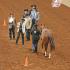 Lucky 7 Quarter Horse Show